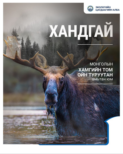 Нэн ховор амьтан болох 